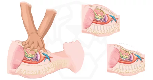 RCP en línea: una solución eficaz